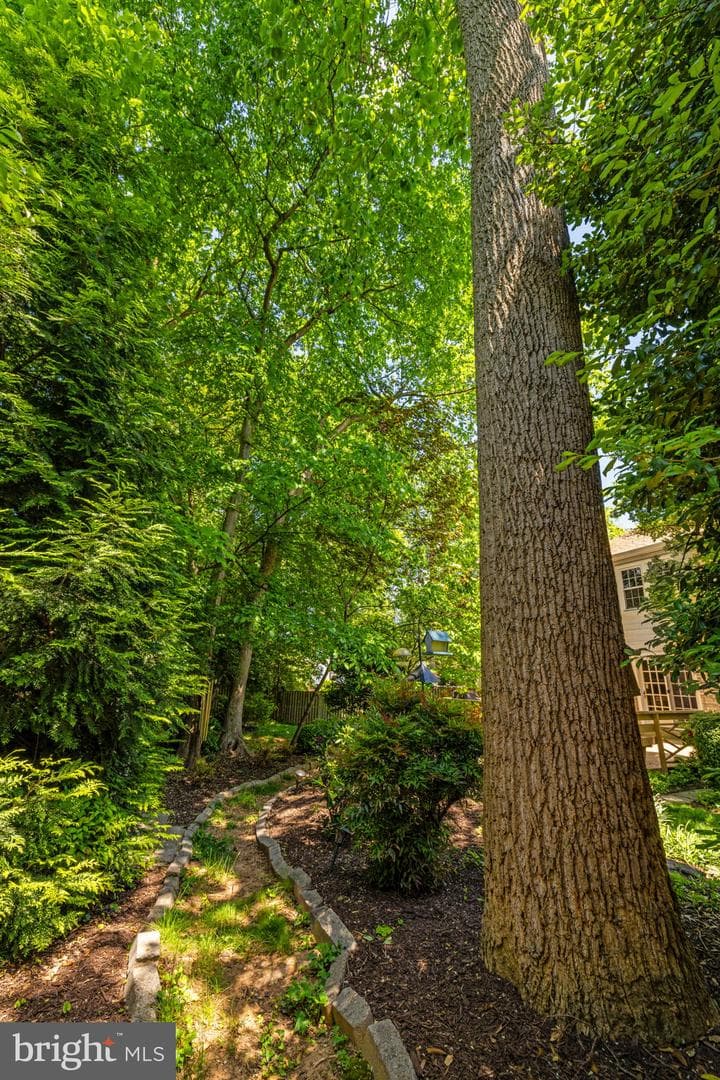 9716 Bunchberry Place photo 121