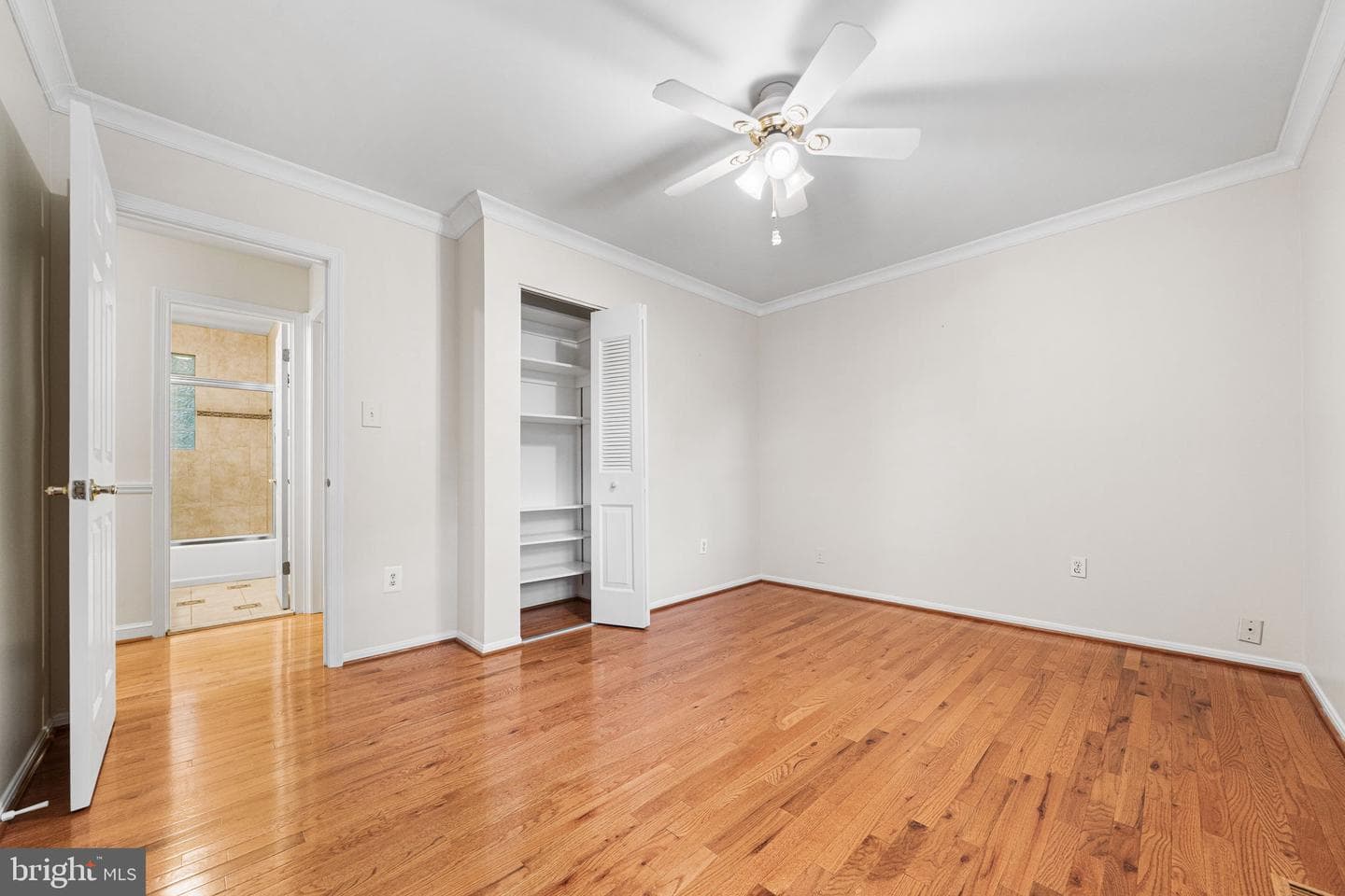 10305 Collingham Drive photo 33
