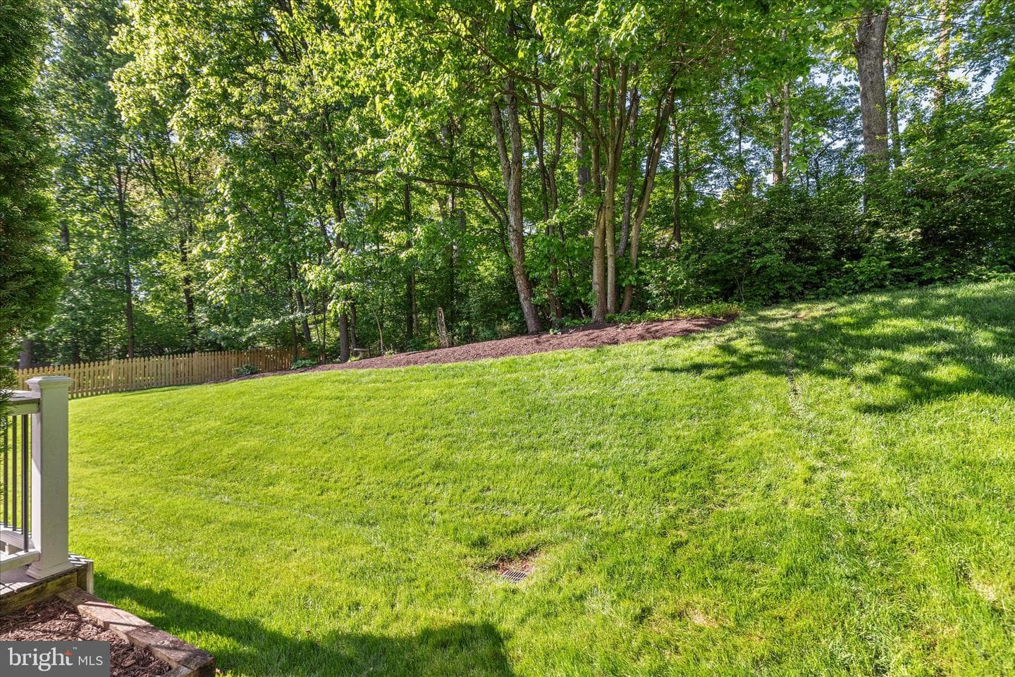 13117 Tingewood Court photo 52