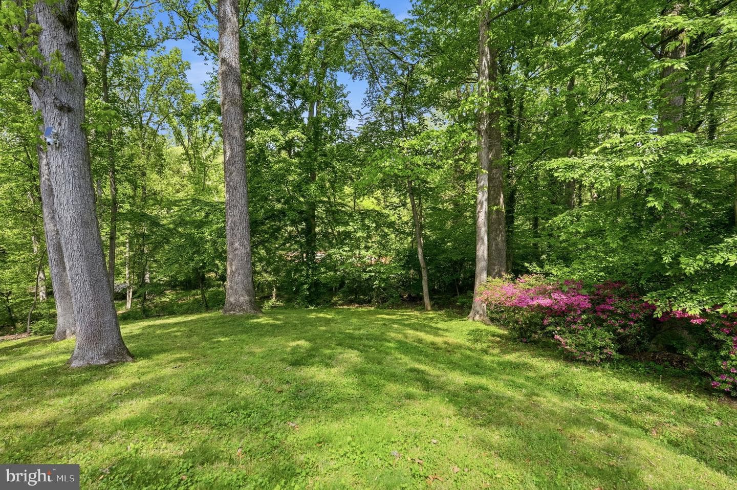969 Spencer Road photo 48