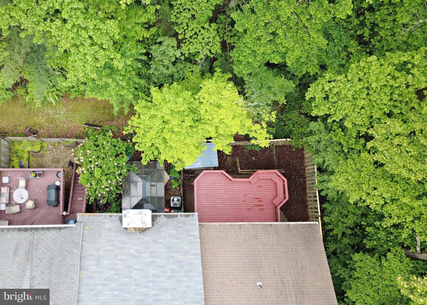 10041 Chestnut Wood Lane photo 35