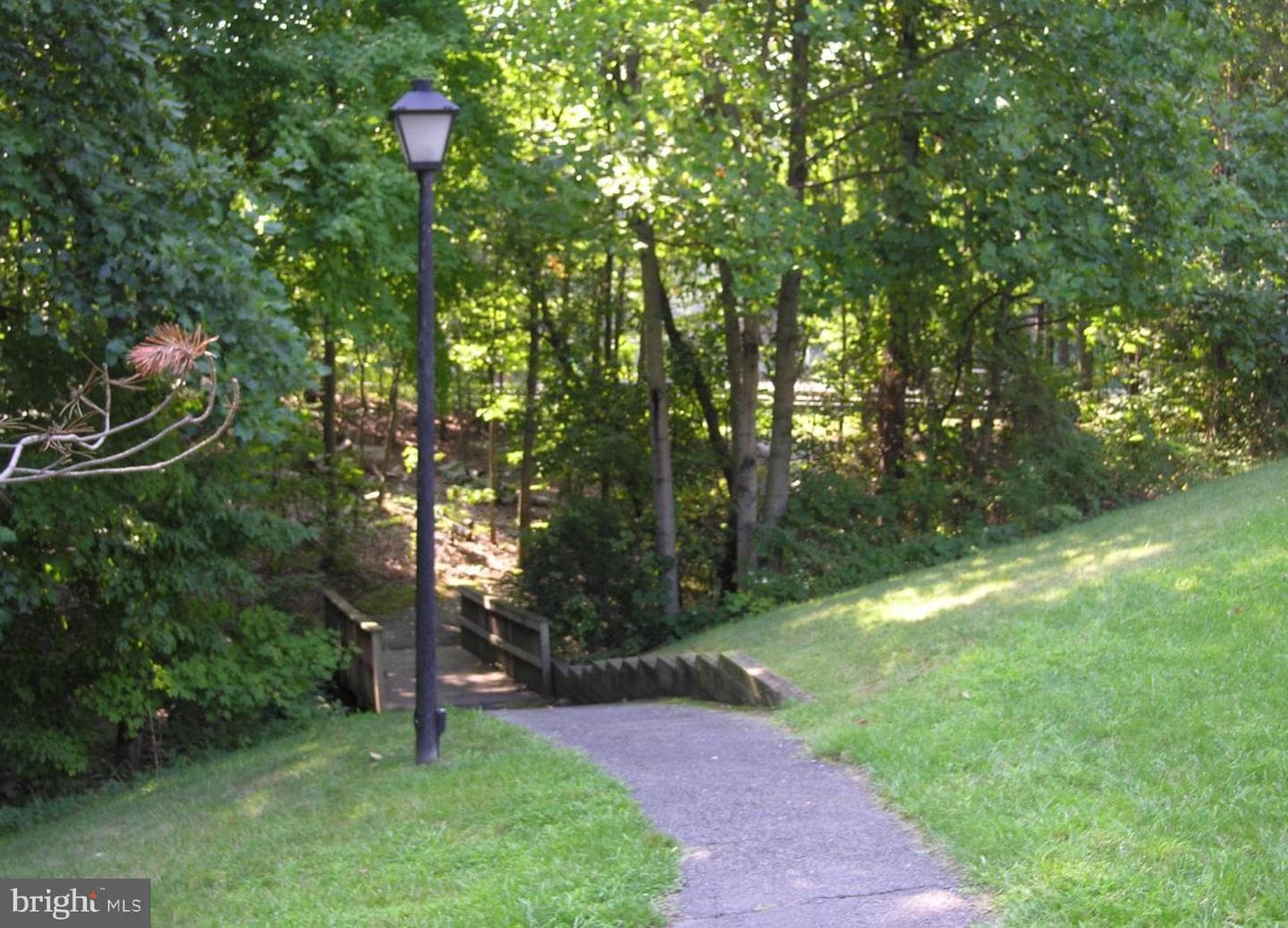 7027 Solomon Seal Court photo 39