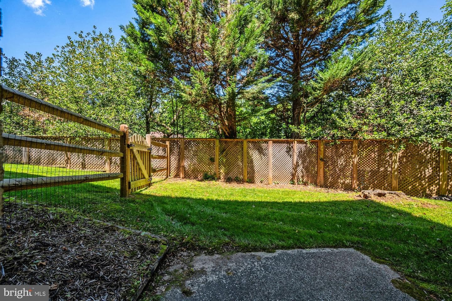 1504 Night Shade Court photo 81