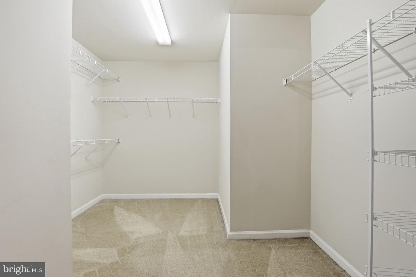 2951 Finsbury Place #97 photo 34