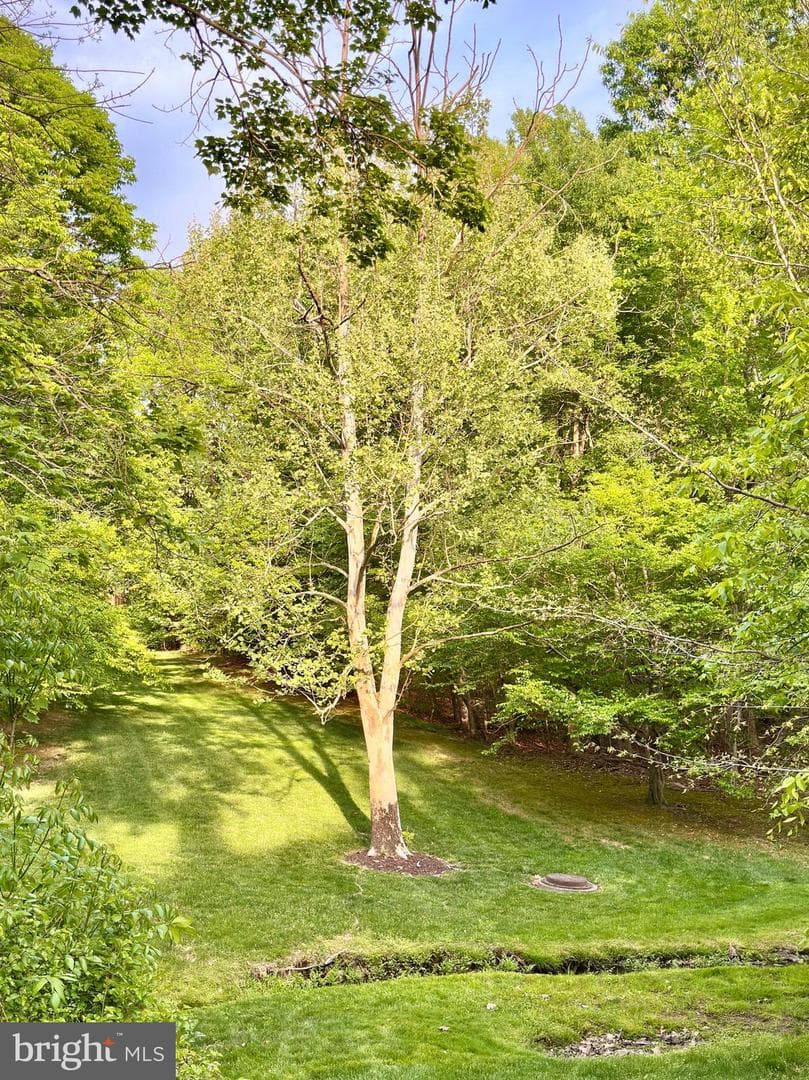 7929 Valleyfield Drive photo 36