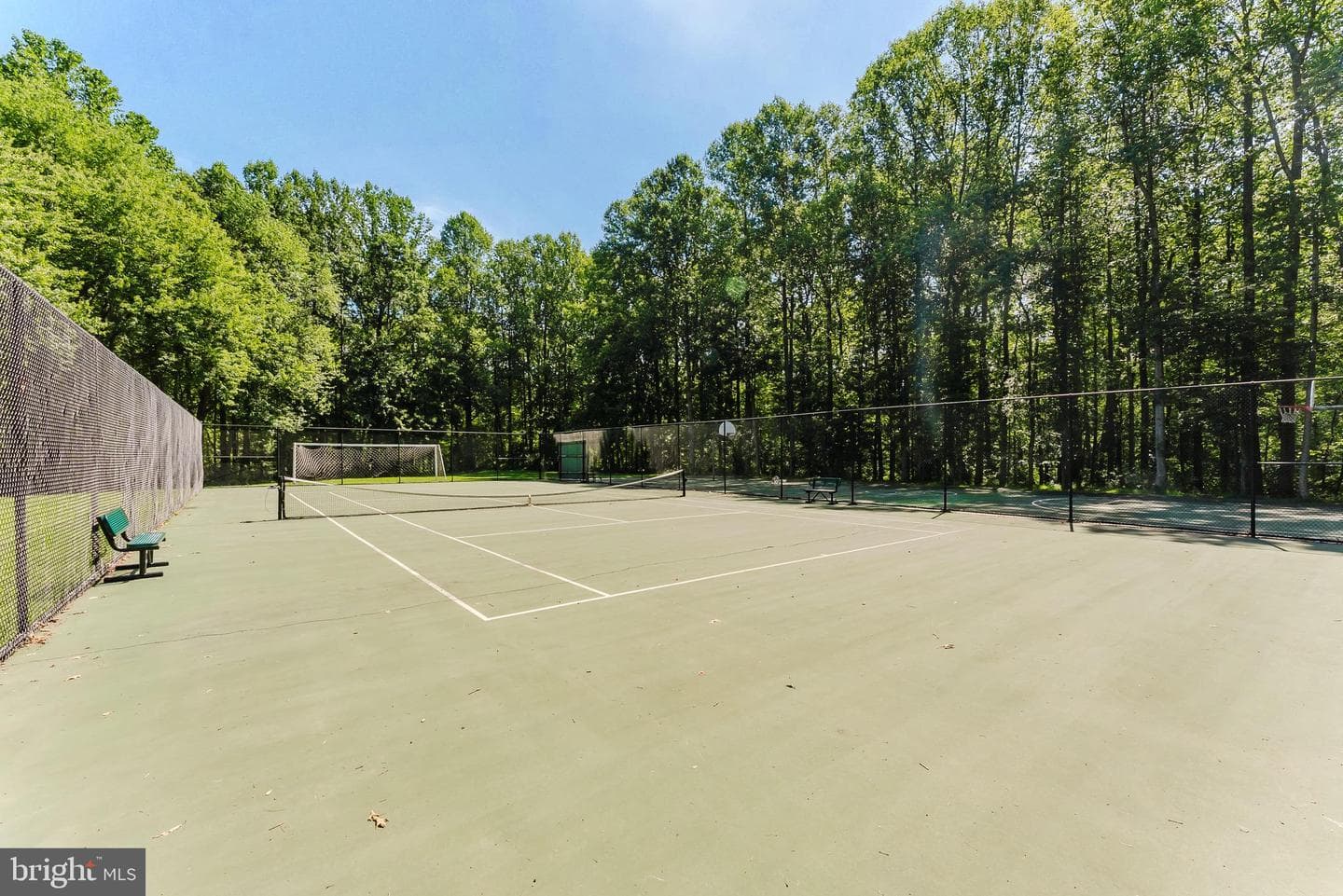 11232 Chestnut Grove Square #233 photo 11