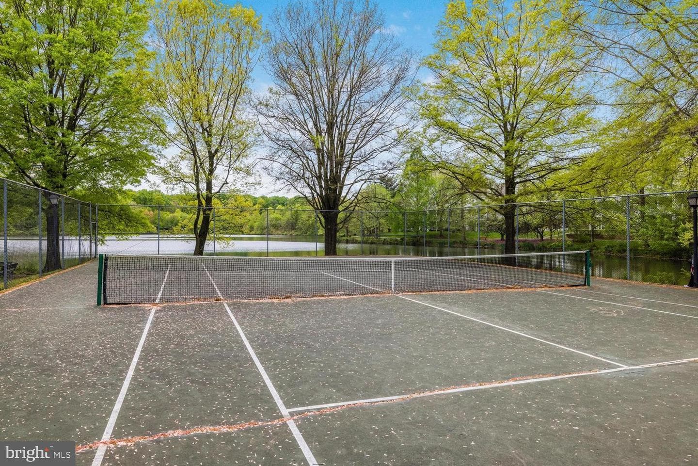 2922 Bridgehampton Court photo 39