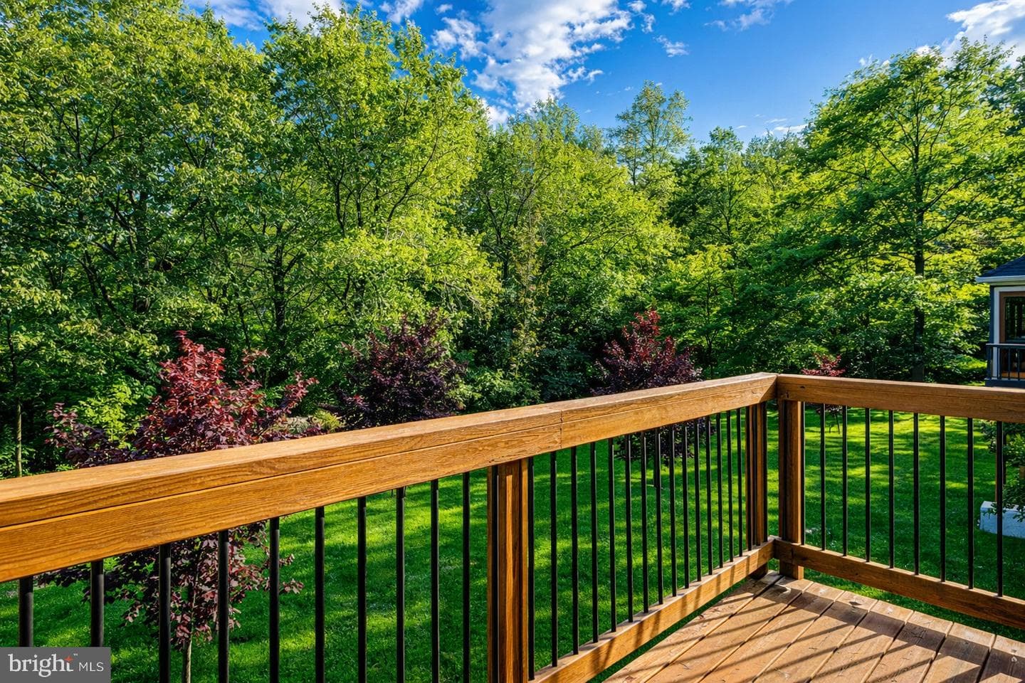 7313 Byrneley Ln photo 50