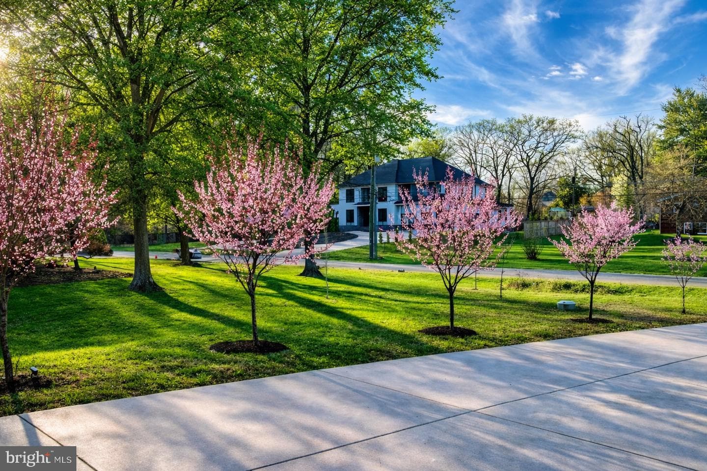 7313 Byrneley Ln photo 54