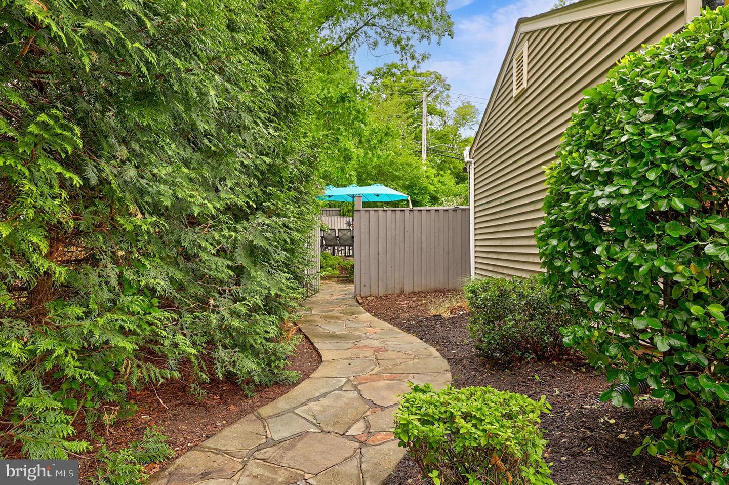 8311 Timber Brook Lane photo 10