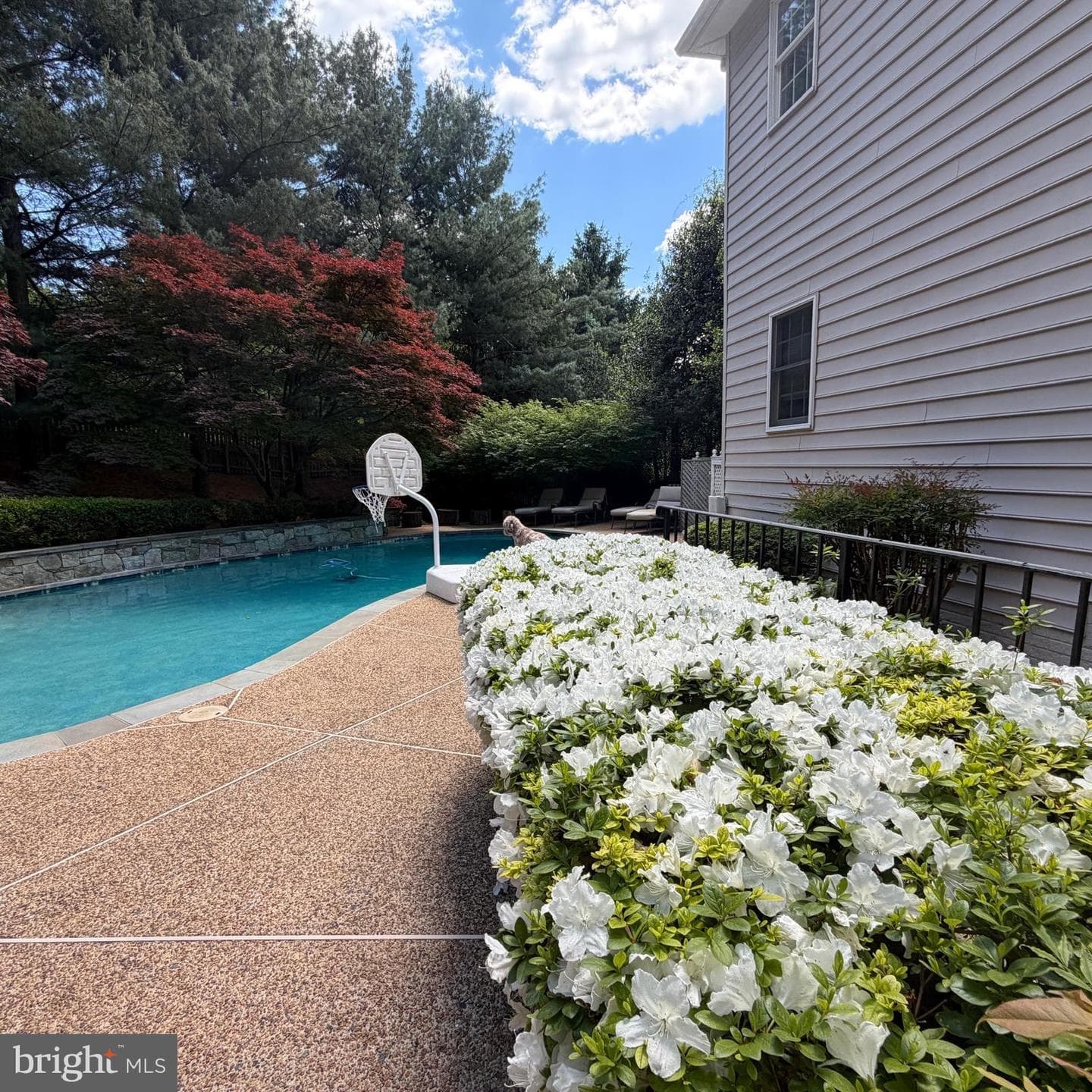 11514 Seneca Woods Court photo 10