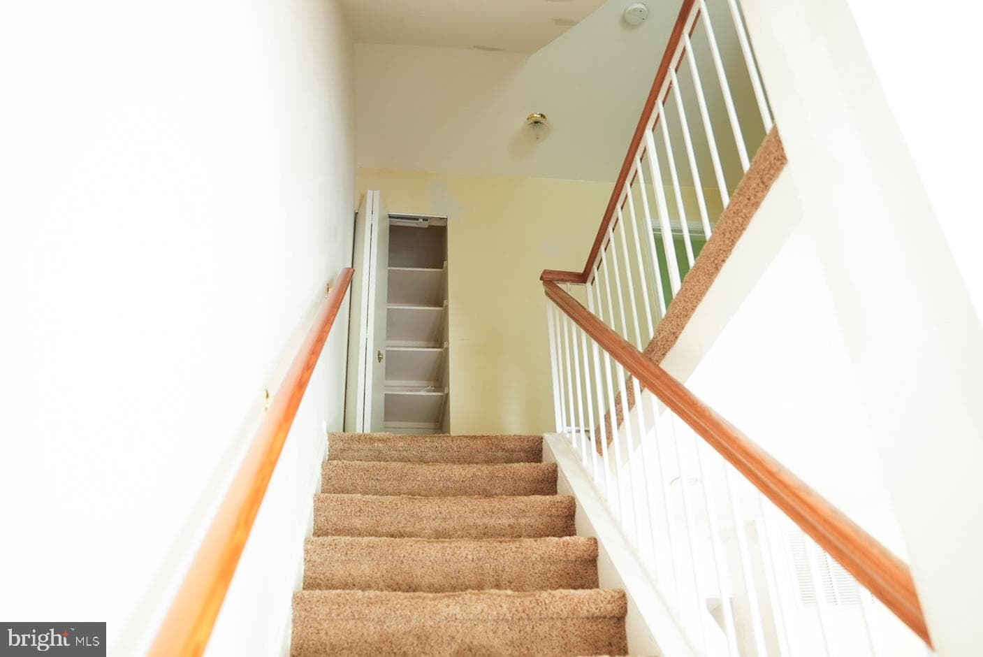 7691 Northern Oaks Court photo 6