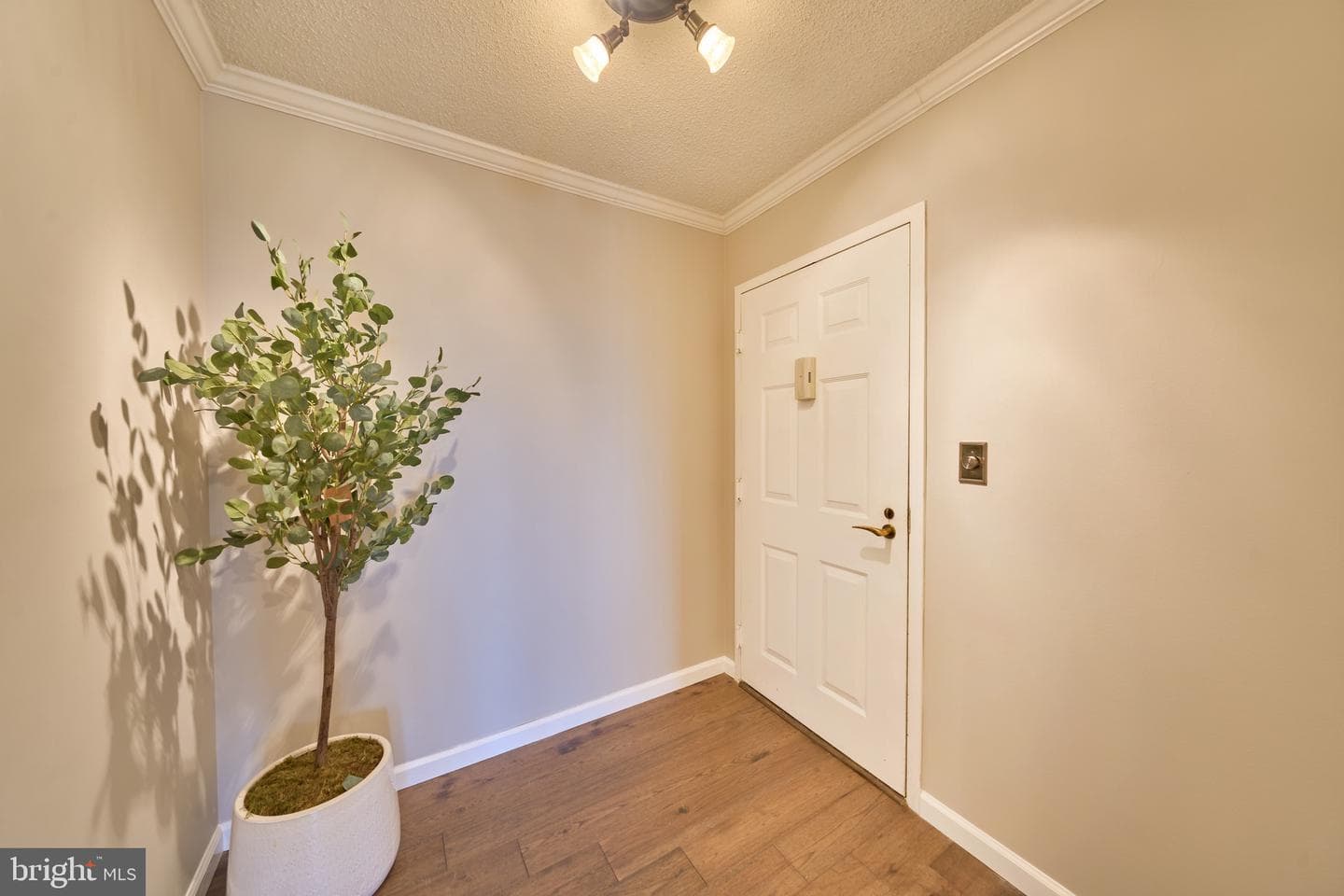 5903 Mount Eagle Drive #1110 photo 4