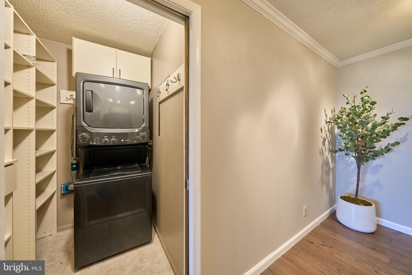 5903 Mount Eagle Drive #1110 photo 6