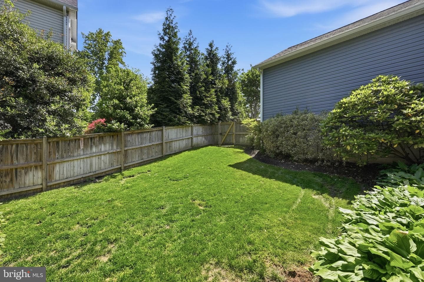 10206 Palmer Glen Court photo 66
