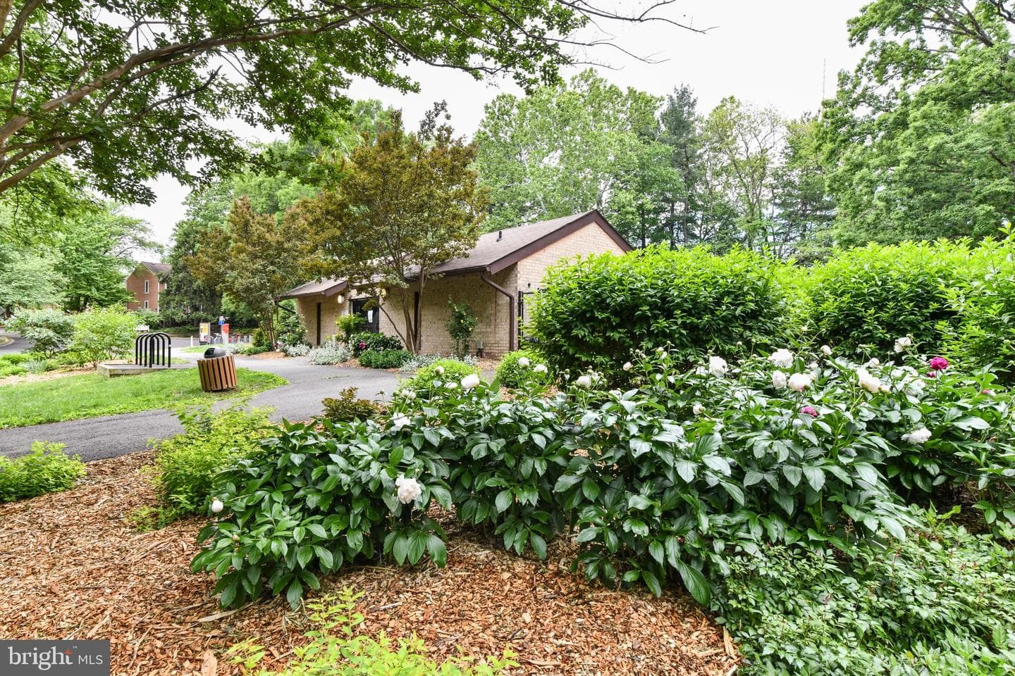 11701 Newbridge Court photo 60