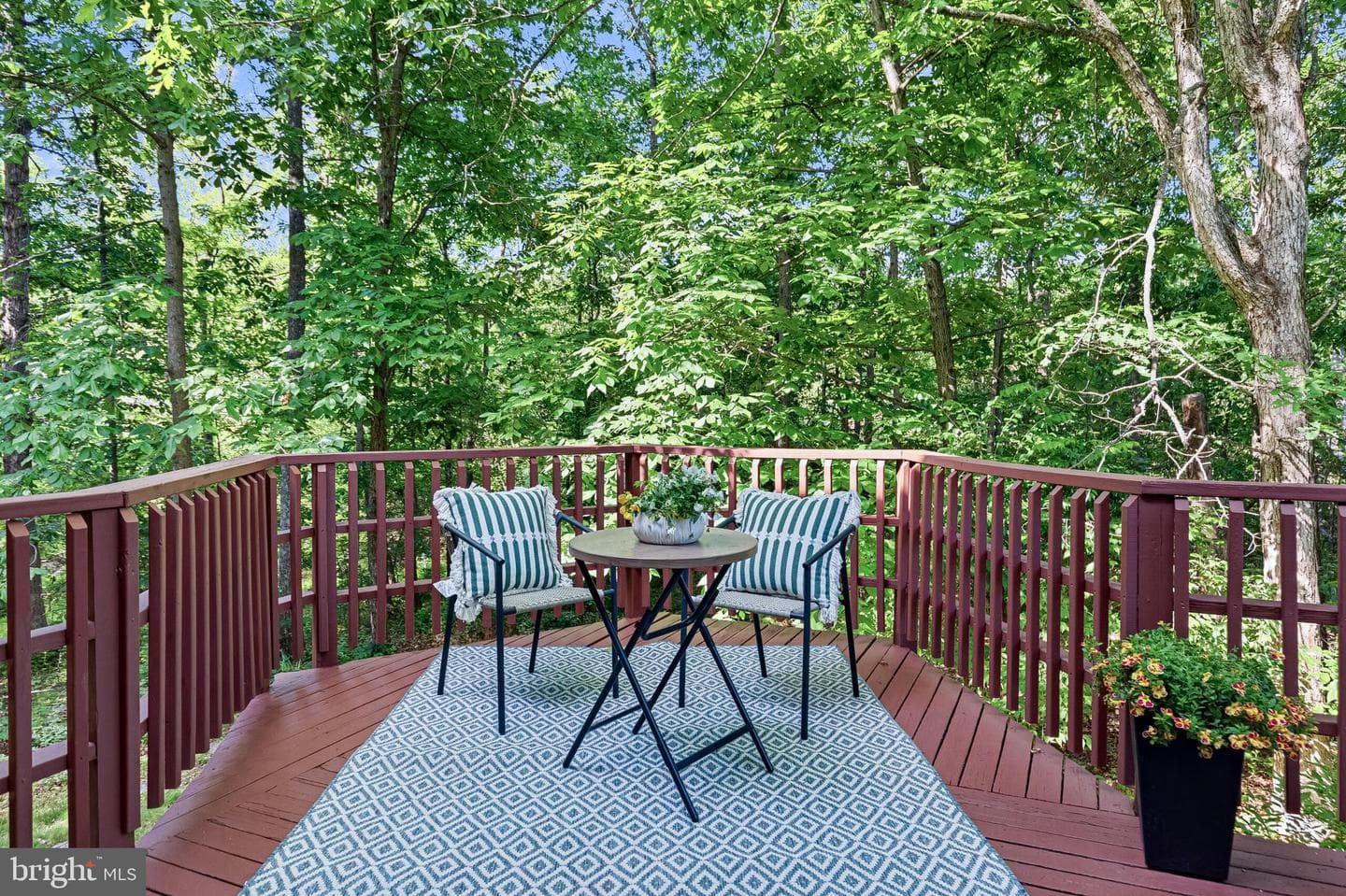 13209 Ashvale Drive photo 39