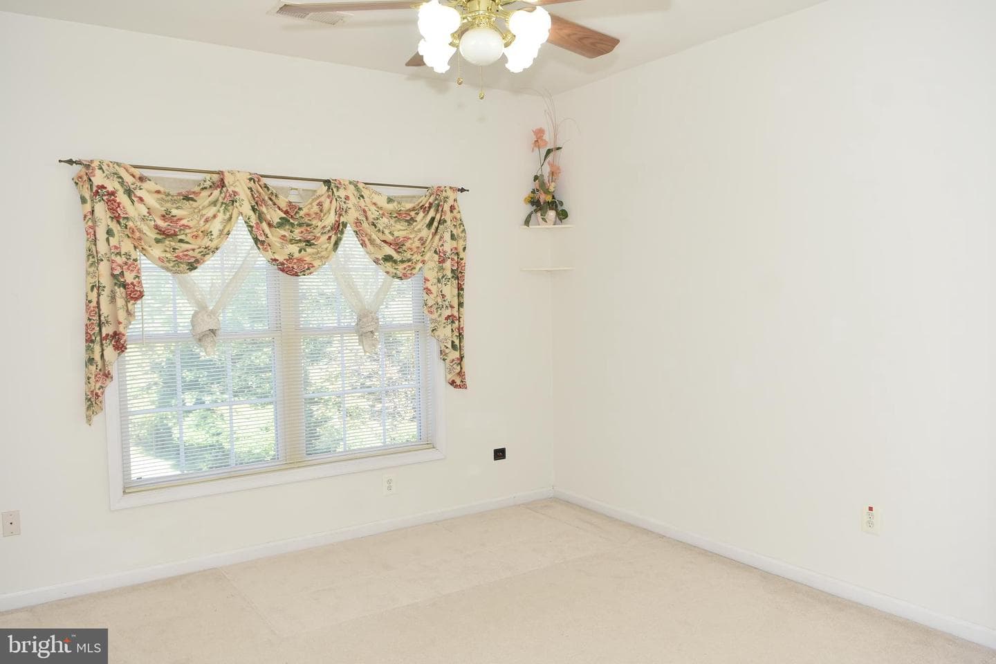 12511 Rochester Drive photo 63