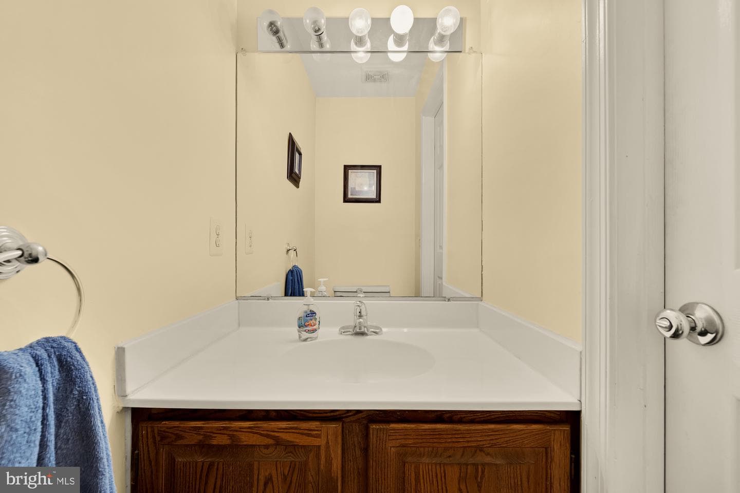 14121 Starbird Court photo 9