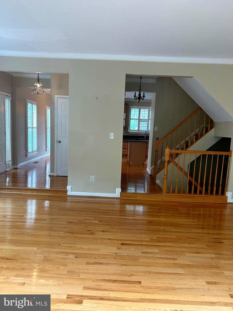 4658 Buckhorn Ridge photo 12