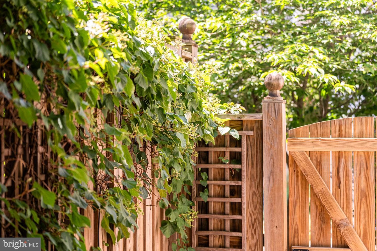 1408 Ingleside Avenue photo 45
