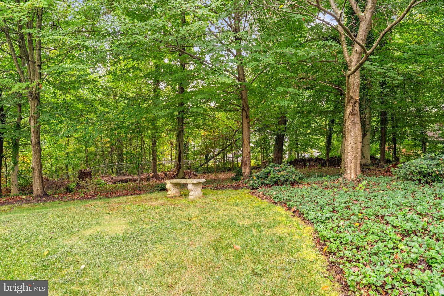 6623 Locust Way photo 95