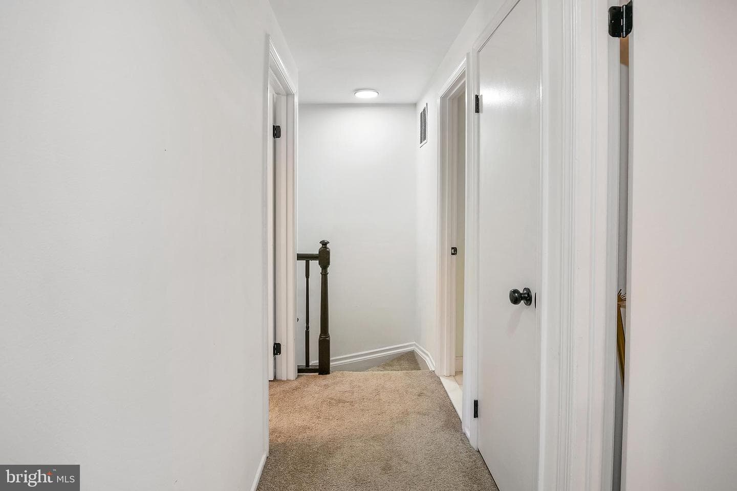 10103 Sassafras Woods Court photo 11