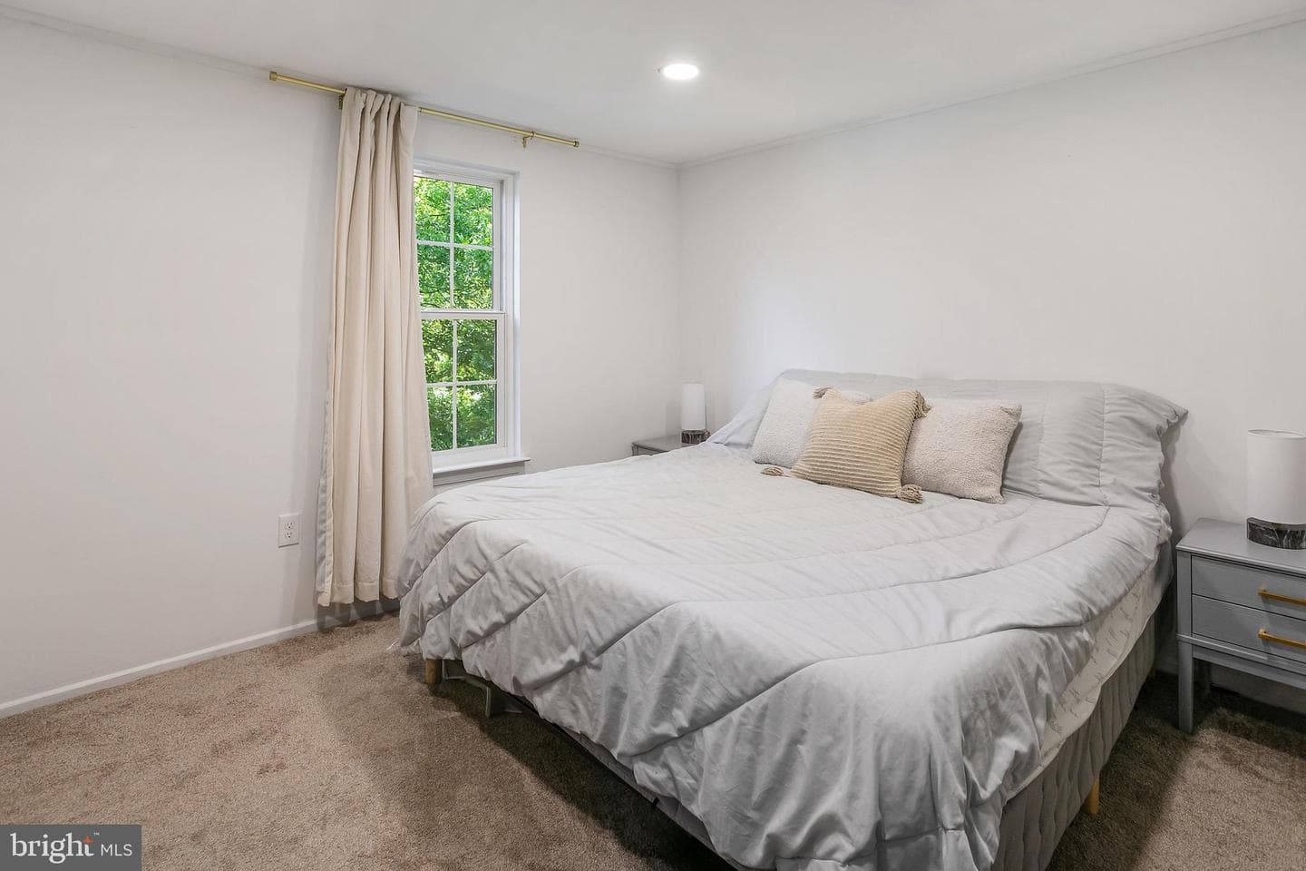 10103 Sassafras Woods Court photo 14