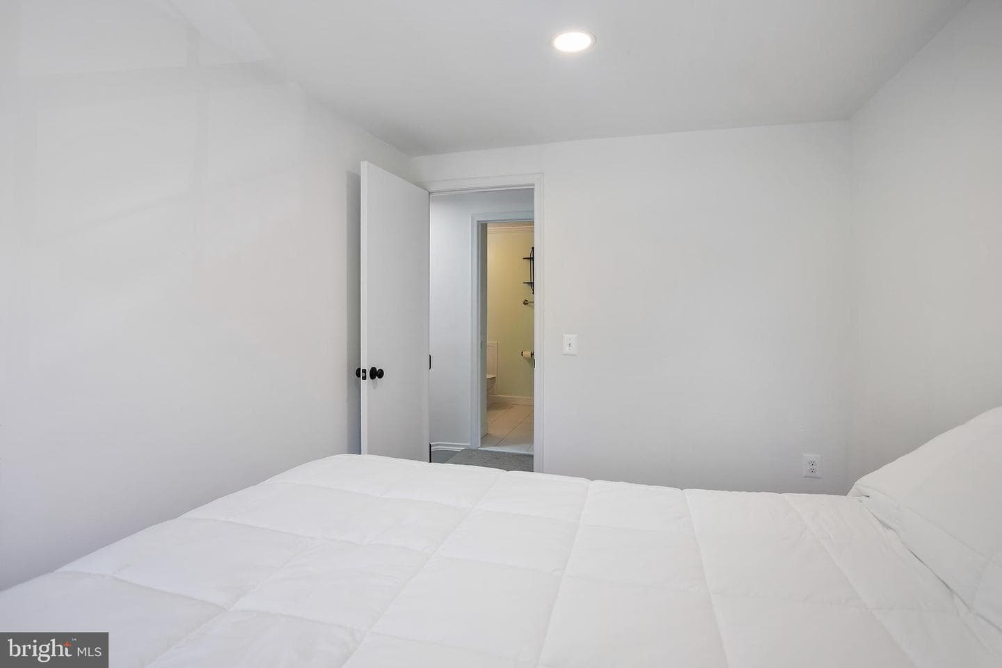10103 Sassafras Woods Court photo 18