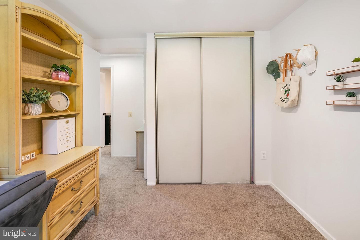 10103 Sassafras Woods Court photo 22
