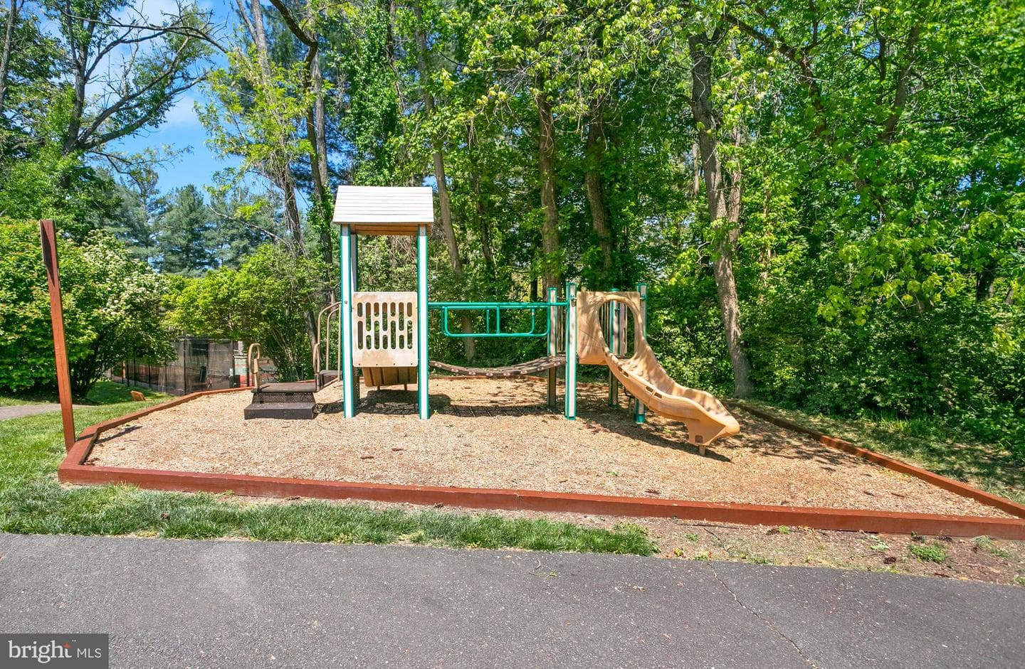 10103 Sassafras Woods Court photo 29