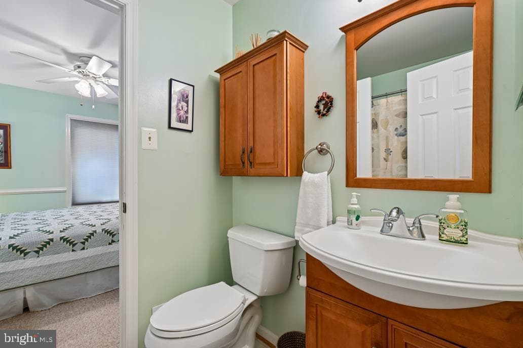 10924 Adare Drive photo 39