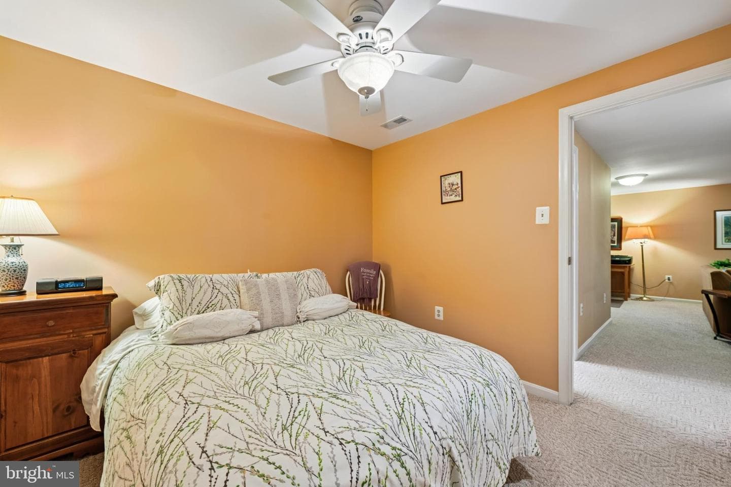 10924 Adare Drive photo 52