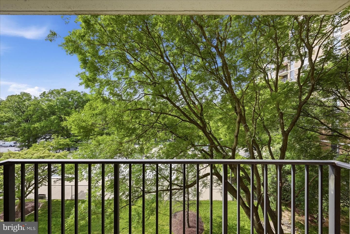 2311 Pimmit Drive #318 photo 9