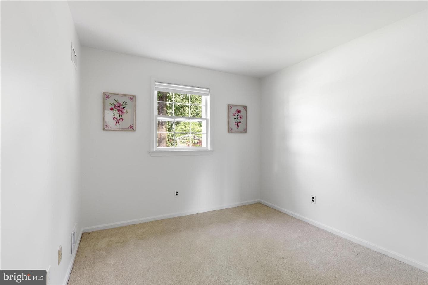 4701 Red Fox Drive photo 19