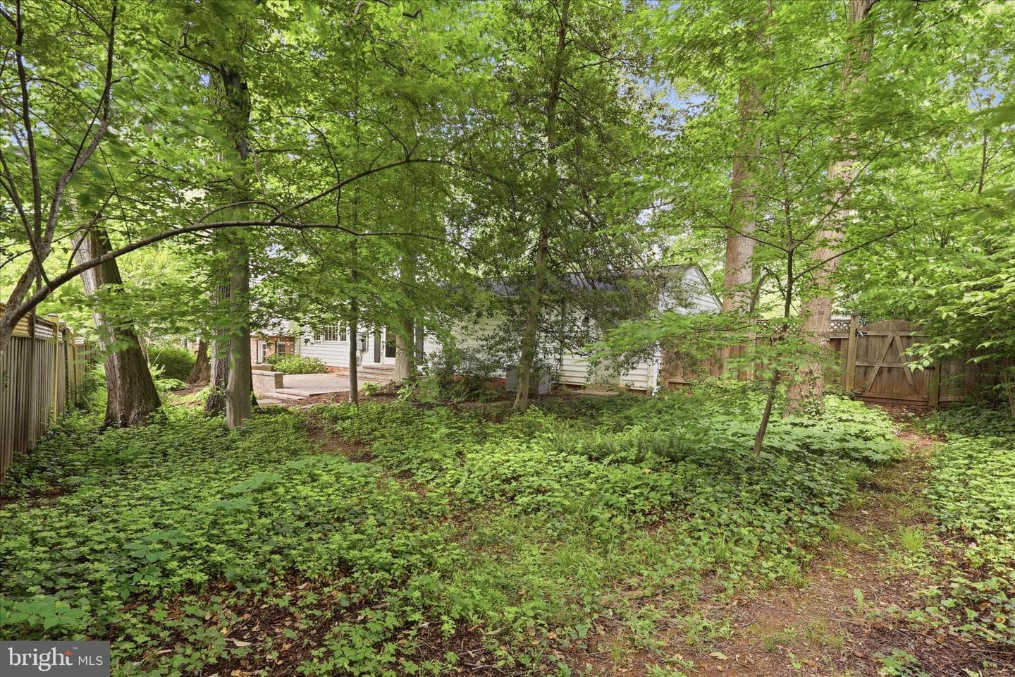 4701 Red Fox Drive photo 30