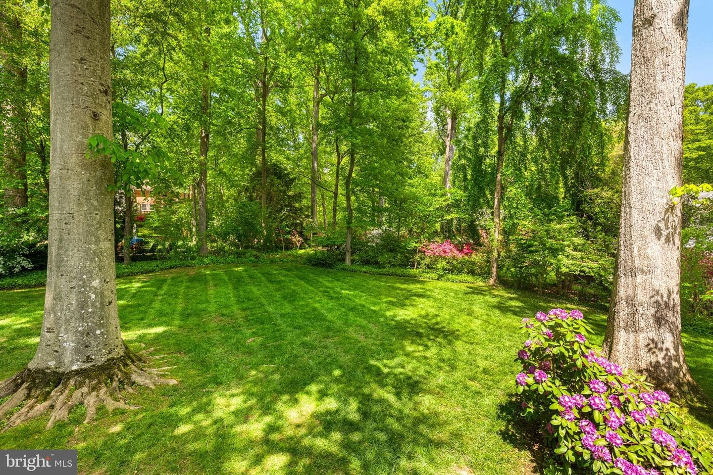 6354 Lyric Lane photo 49