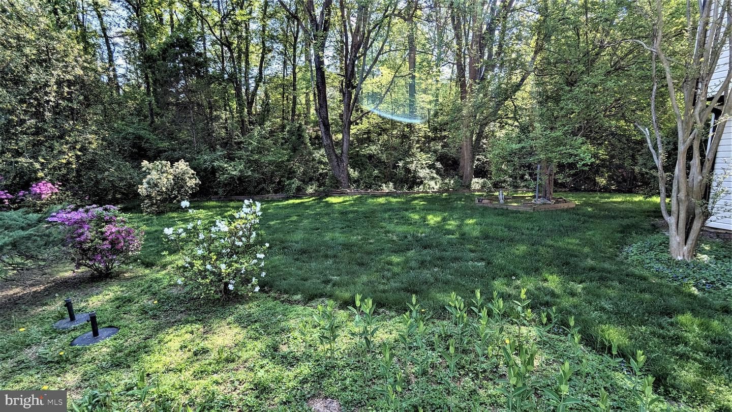 1835 Batten Hollow Road photo 18