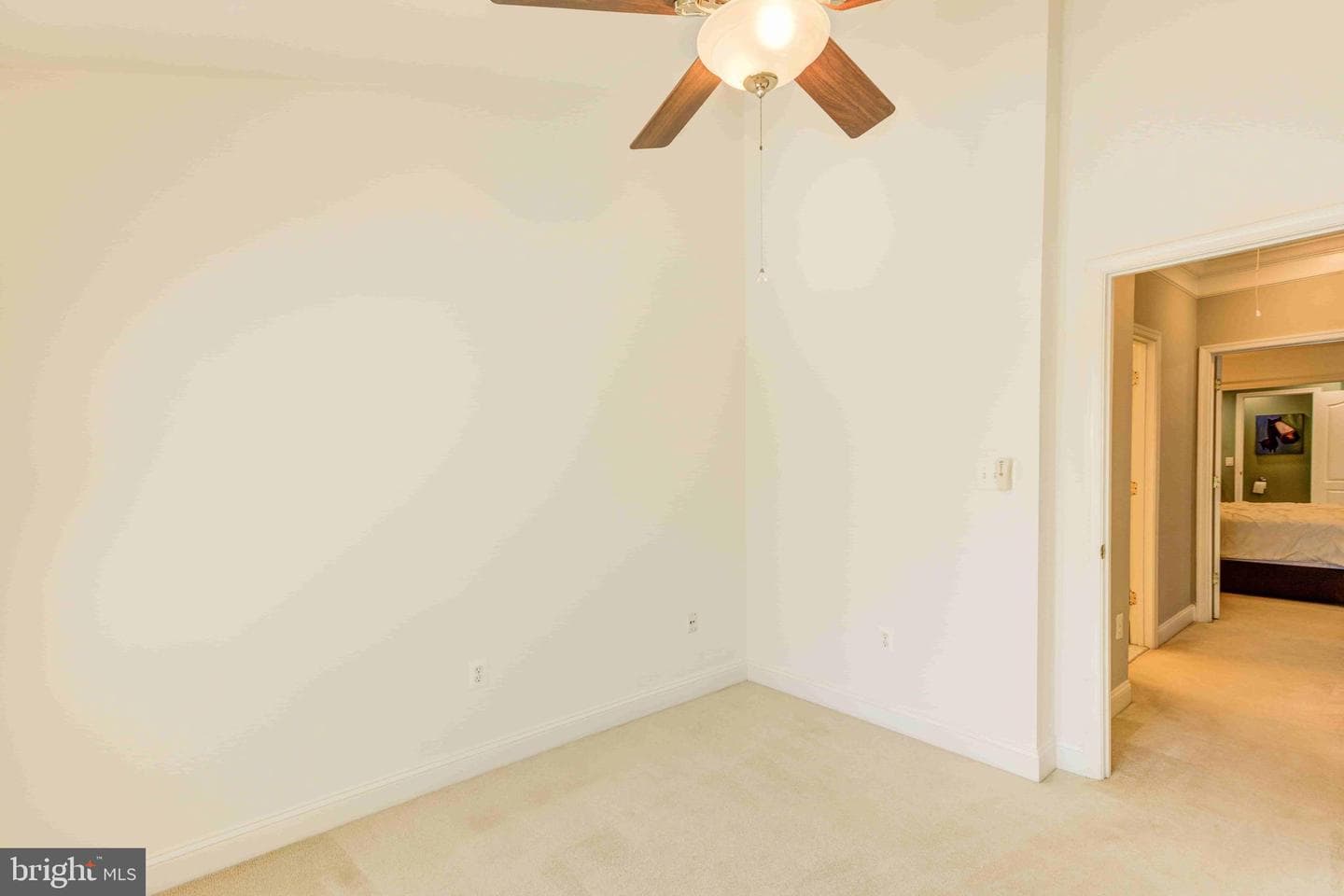 4175 Lower Park Drive photo 19
