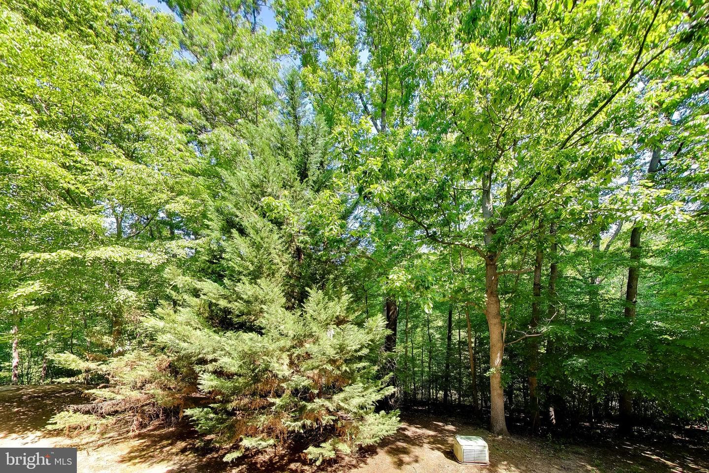 5946 Kimberly Anne Way photo 13