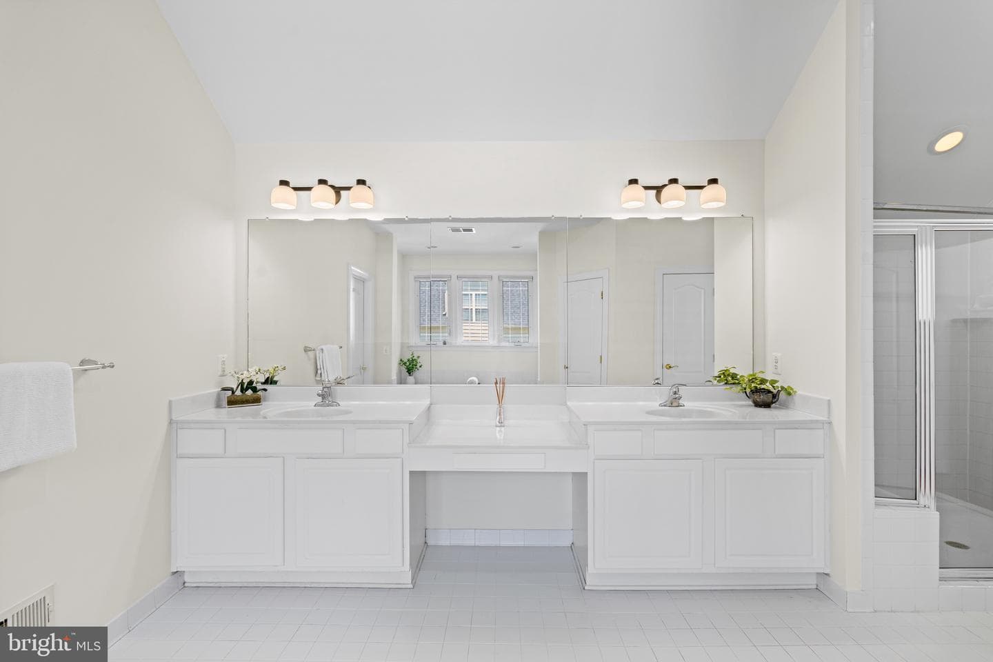 8717 Flowering Dogwood Lane photo 24
