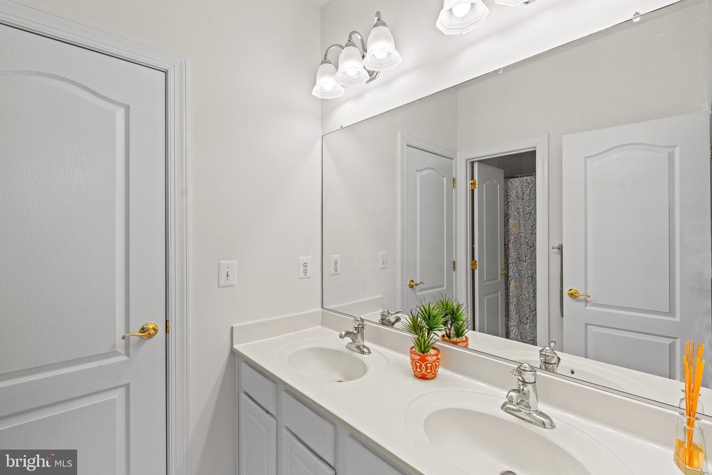 8717 Flowering Dogwood Lane photo 36