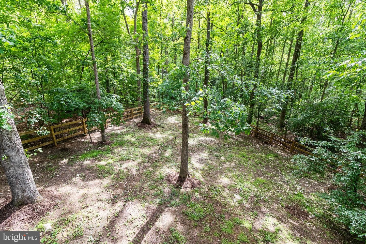 10815 Cross School Road photo 16
