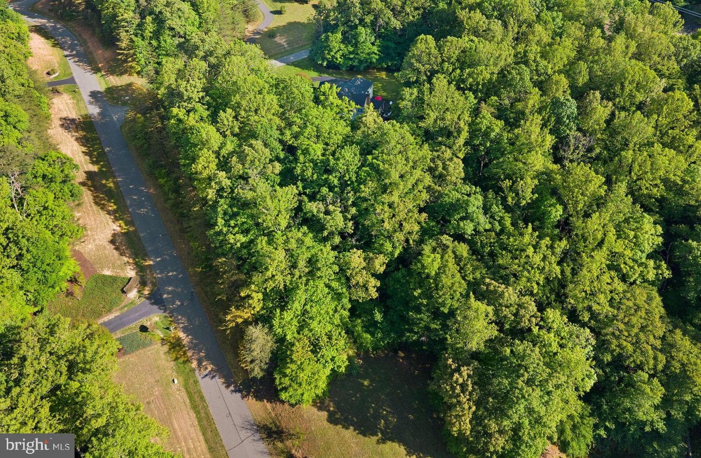 10082 Roseland Ridge Road photo 107