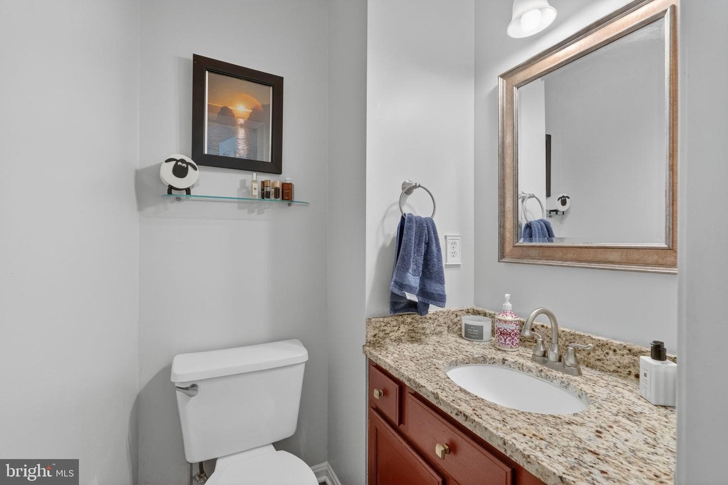 9639 Franklin Woods Place photo 16