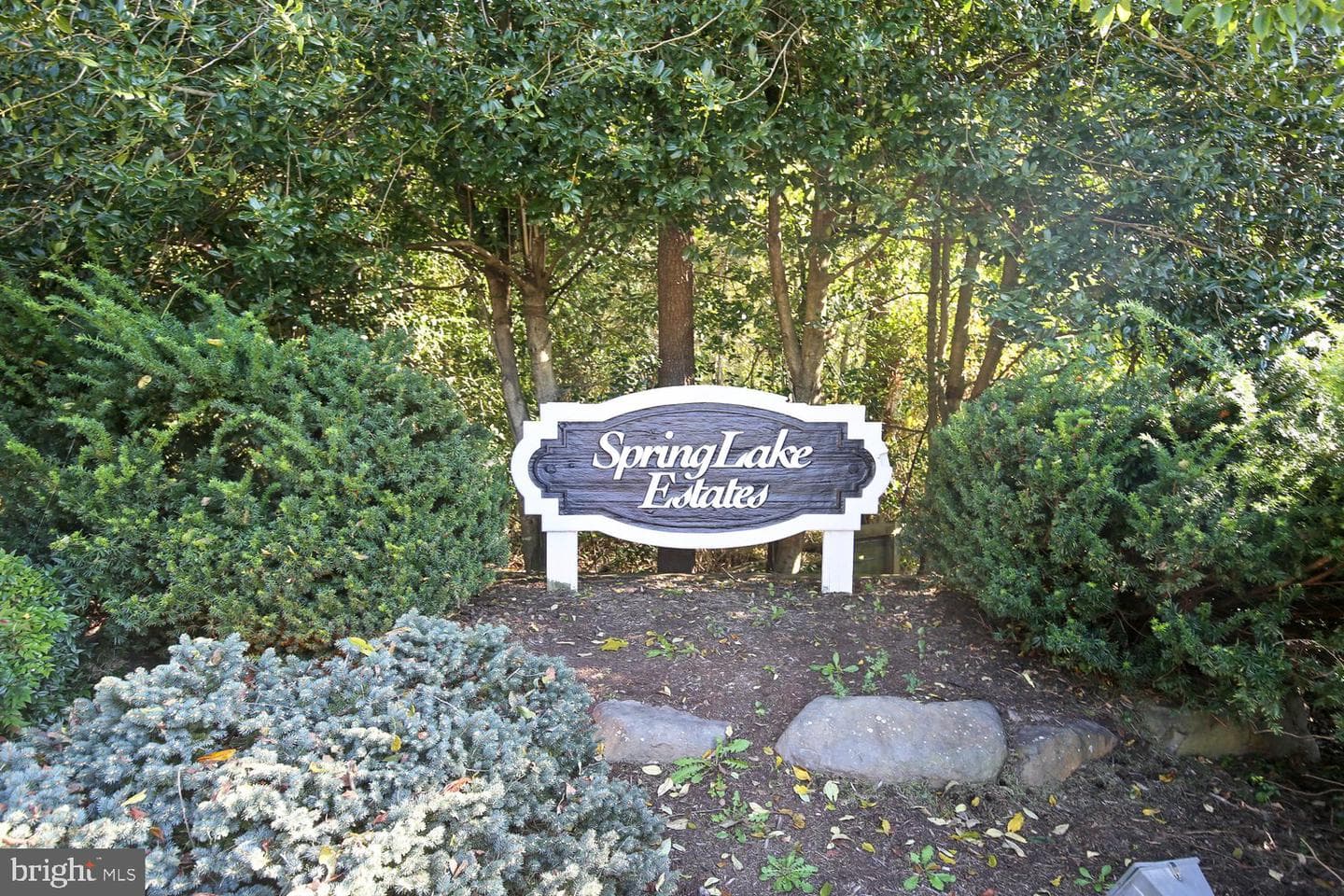 13484 Lake Shore photo 57