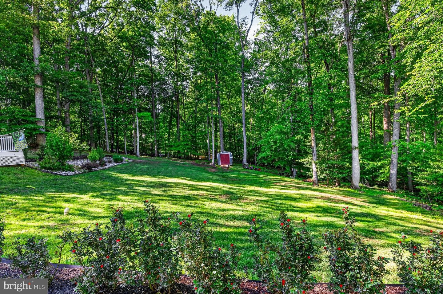 10424 Hampton Road photo 48