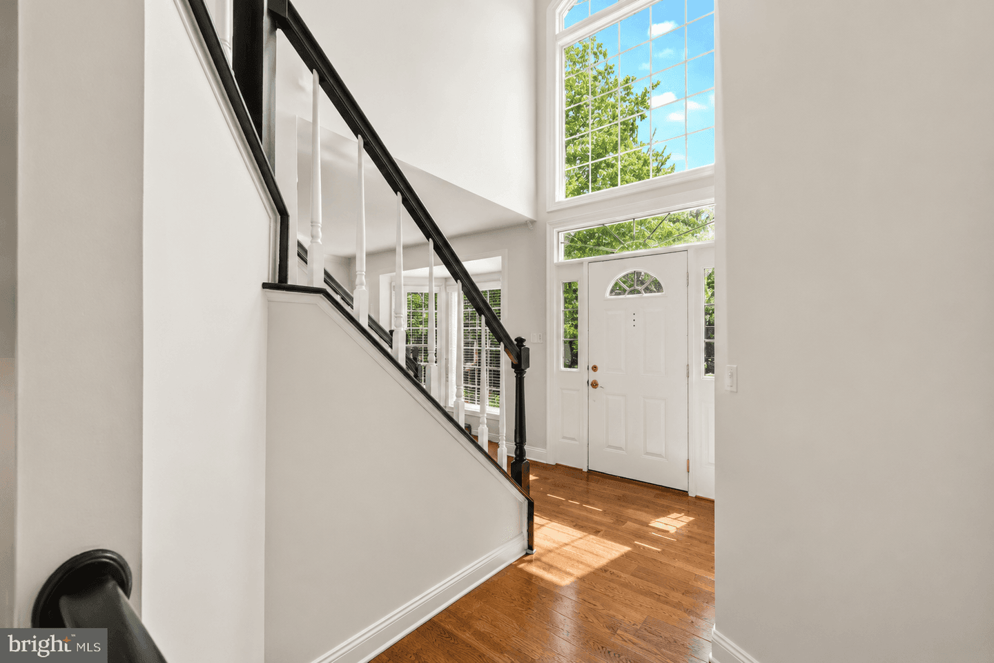 13564 Cobra Drive photo 4