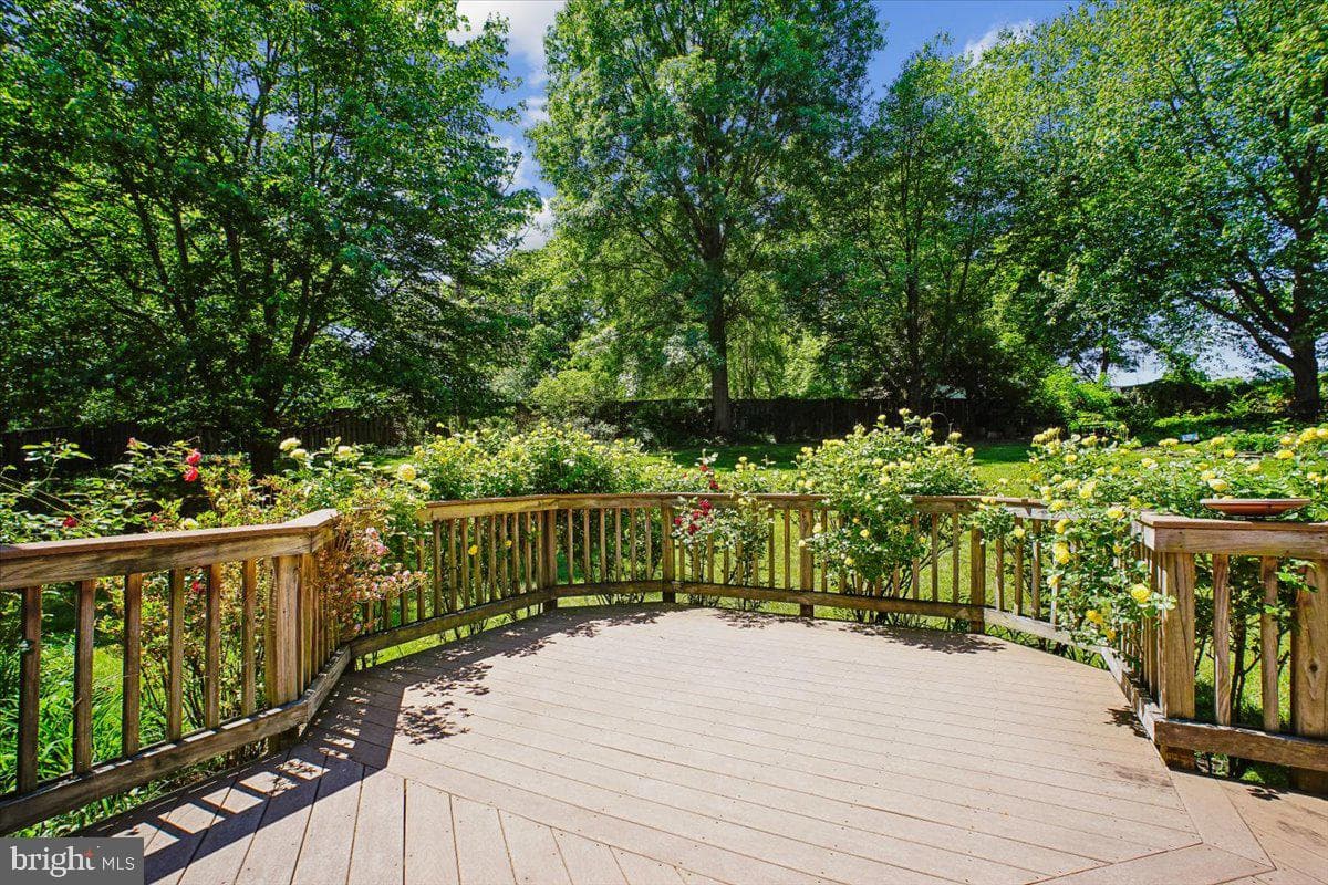9103 Lynchburg Court photo 53