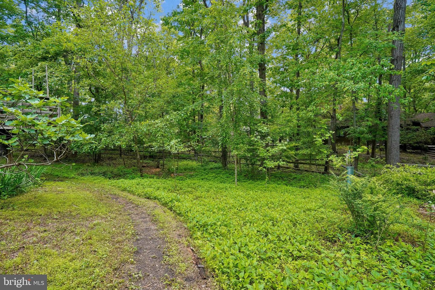 10802 Dayflower Court photo 35